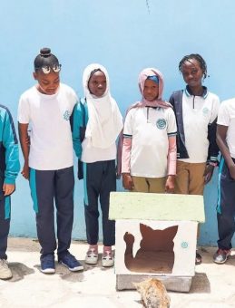 Sıfır Atık Girişimi Senegal’de Kedi Evlerine İlham Oldu