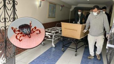 Sivas’ta Sayı 7’ye Yükseldi! Kene Kabusu Devam Ediyor
