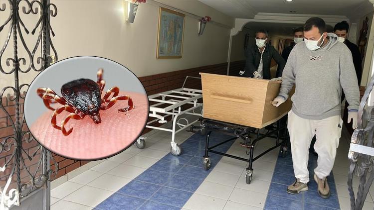 Sivas’ta Sayı 7’ye Yükseldi! Kene Kabusu Devam Ediyor