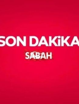 Sokak Hayvanları Derneği’ne Yönelik ‘Haksız Kazanç’ Davasında Önemli Gelişme: 10 Şüpheli Tutuklandı