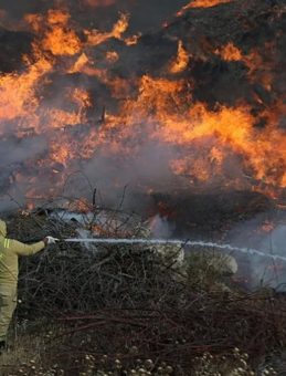 Son Dakika | Adalet Bakanı Yılmaz Tunç'tan yangınlarla ilgili açıklama: 17 gözaltı