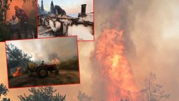 Son Dakika: İzmir'deki Yangının Boyutu Gün Ağarınca Ortaya Çıktı!