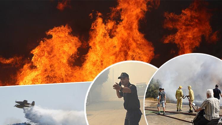 Son Dakika: Ülkemizde Orman Yangınlarıyla Mücadele Ediliyor – Bakan Yumaklı'dan Açıklamalar