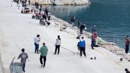 Sürü Halinde Geldiler… Duyanlar Sabahın İlk Işıklarında Sahile Koştu