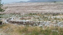 Tarım Arazilerine Dolu Zarar Verdi