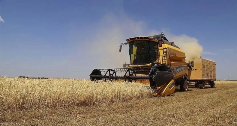 Tarımsal Girdi Fiyat Endeksi Verileri Açıklandı