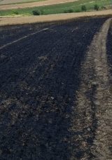 Tekirdağ’da 13 Dönüm Arpa Ekili Alan Yandı