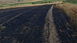 Tekirdağ’da 13 Dönüm Arpa Ekili Alan Yandı