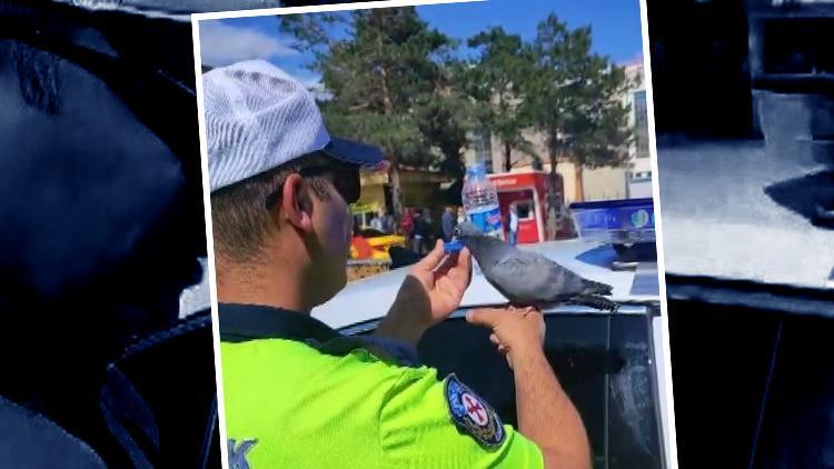 Trafik polisinin merhameti kalpleri ısıttı | Valilik görüntüleri paylaştı: Yürekten alkışlıyoruz