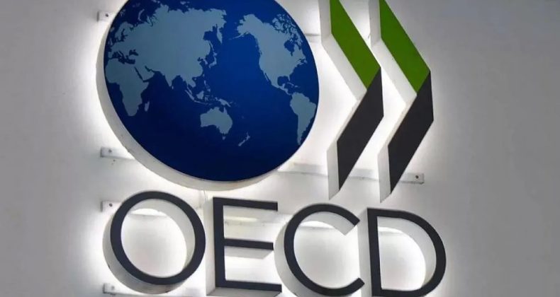 Türkiye OECD’ye Fark Attı!