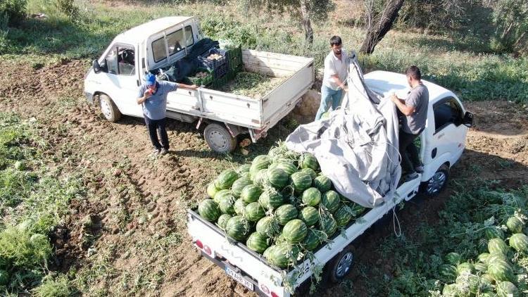 Türkiye’nin Gözdesi: Karpuz İçin Uzun Saatler Bekliyorlar