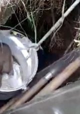 Üstü açık bırakılan su kuyusuna düşen 4 yavru köpek kurtarıldı