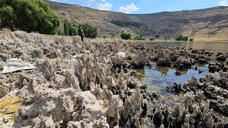 Van Gölü Kıyıları Mikrobiyalitlerle Kaplandı