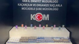 Van Polisinden Operasyon: 51 Gözaltı