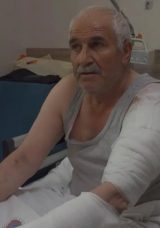 Van'da Ot Biçen Vatandaşa Kurt Saldırdı