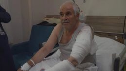 Van'da Ot Biçen Vatandaşa Kurt Saldırdı