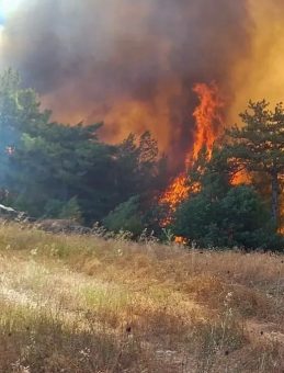 Yangın Bölgesinde 750 Personel, 220 Araç ve 11 Helikopter ile Kararlılık İçinde Mücadele