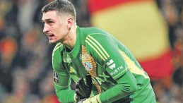 Yeni Muslera Petrovic