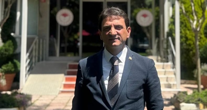Yerli Tohumda Yüzde 80 Başarısı