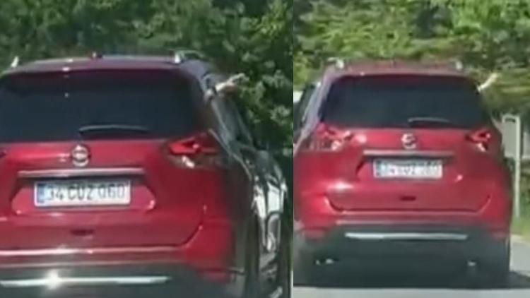 Yolda Defalarca Çöp Atarken Yakalandı! O Anlar Tartışma Yarattı…