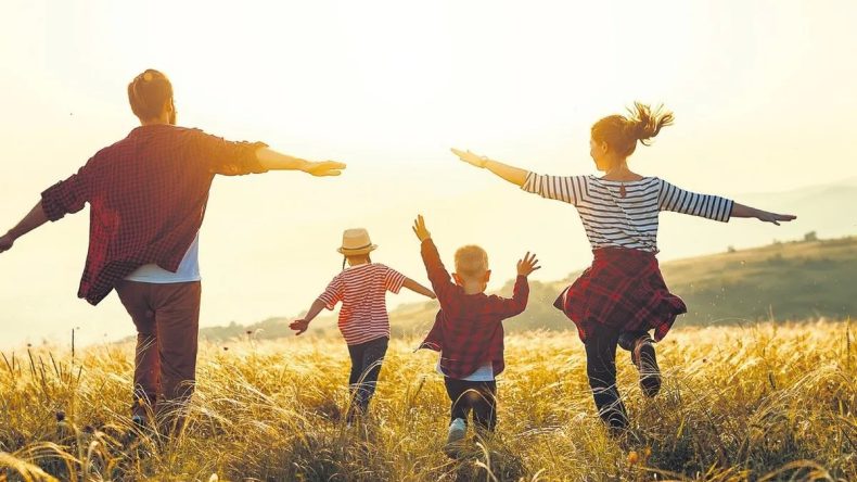 Yurt Genelinde Aile Destek Programı
