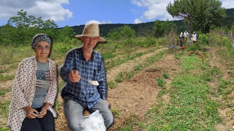Zonguldak’ın Devrek ilçesine yerleşerek bir ilke imza attılar! ‘Çok merak eden, soran var’