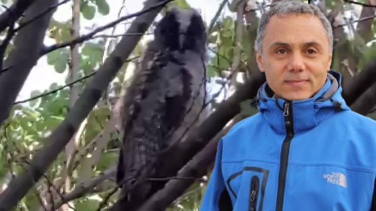 'Evinizin çevresinde görürseniz sevinin' deyip uyardı: Sakın zarar vermeyin