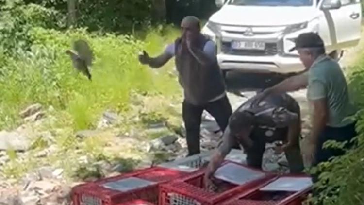 'Kanatlı Tim'in Mücadelesi Devam Ediyor! 1.400 Tanesi Daha Doğaya Salındı…