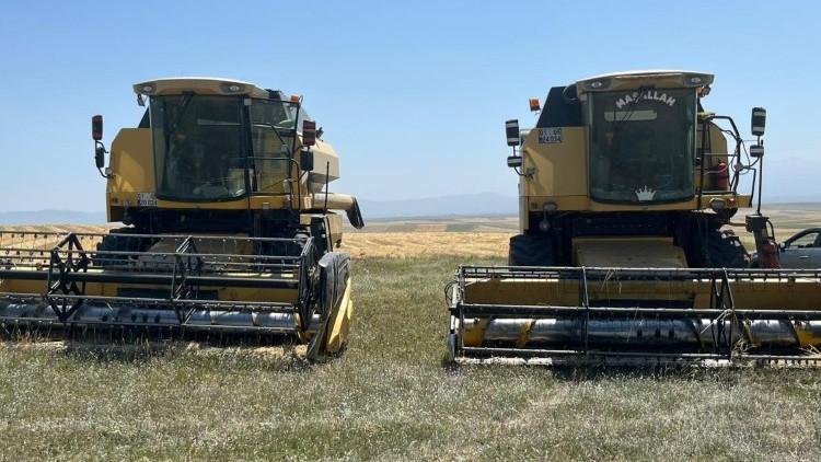 'Yapma, etme' uyarılarına kulak asmadı… Yerli ve milli: Tarlasına eken çiftçi 'mucizelere' tanıklık etti | Mahsul adeta patladı