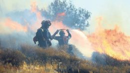 10 Günde 761 Yangın Söndürüldü
