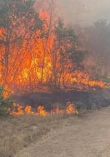 10 Kişinin Şehit Olduğu Orman Yangını İ&ccedil;in Soruşturma Başlatıldı