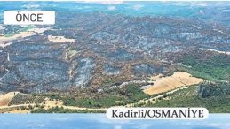 5 Bin 263 Hektarlık Alan 326 Bin Fidanla Yeşillendi