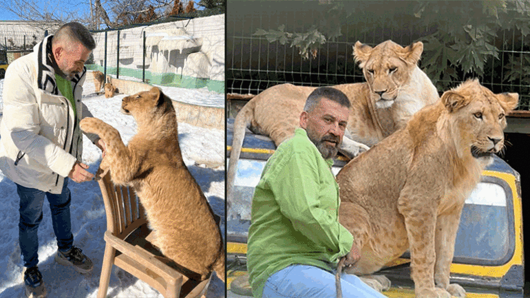Aslan Zeus