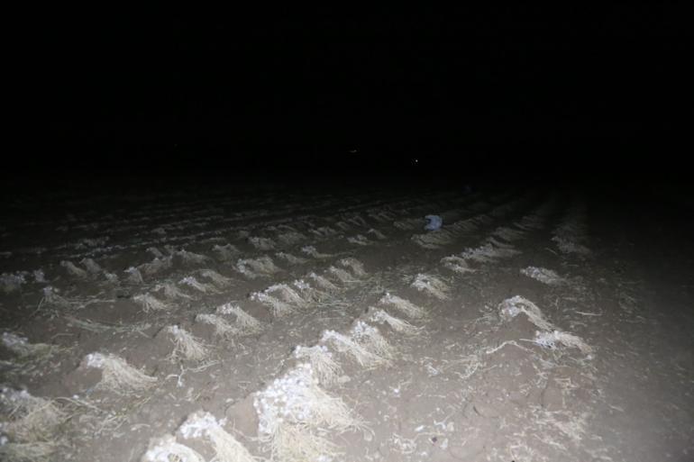 Güvenlik Kamerası Kurulumu