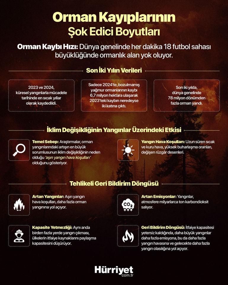Orman Kaybı