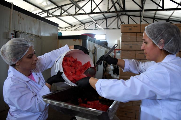 Osmaneli Belediye Başkanı Bekir Torun
