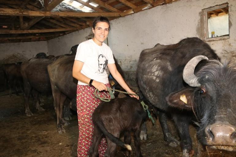 Güneşin Doğuşu
