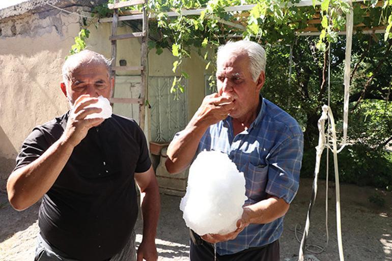 Kar ve Misafirler
