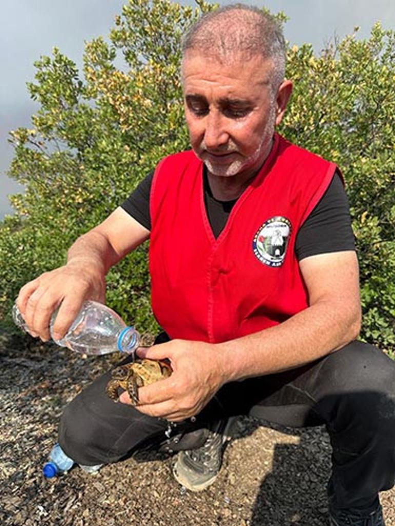 Yangın Görüntüsü
