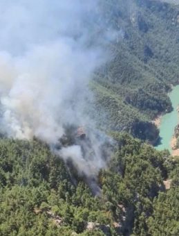 Adana’da Ormanlık Alanda Yangın Meydana Geldi