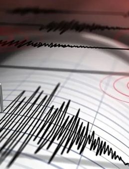 AFAD Açıklama Yaptı! Ege Denizi'nde 4,6 Büyüklüğünde Deprem Gerçekleşti