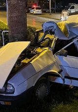 Ağaca &Ccedil;arpan Otomobilin S&uuml;r&uuml;c&uuml;s&uuml; Hayatını Kaybetti