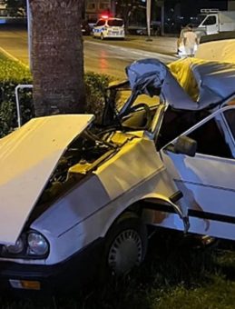 Ağaca Çarpan Otomobilin Sürücüsü Hayatını Kaybetti