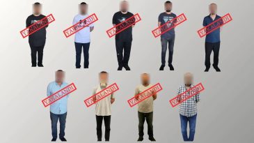 Ahmet Aydın, Daltonlar Su&ccedil; &Ouml;rg&uuml;t&uuml; &Uuml;yesi, G&uuml;rcistan'da Yakalanarak T&uuml;rkiye'ye İade Edildi