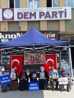 Ailelerden Ortak Mesaj: Terör Bitsin, Evlatlarımız Geri Dönsün…