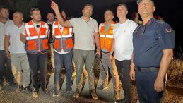 Alanya Söğüt Yaylası'ndaki Orman Yangınına Müdahale Devam Ediyor