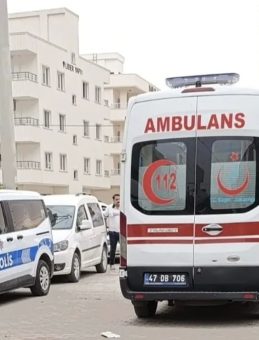 Almanya'dan Gelen Kadın Nusaybin'de Hayatını Kaybetti