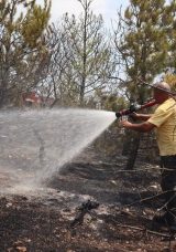 Amasya&rsquo;da Orman Yangını: 20 D&ouml;n&uuml;m Arazi Zarar G&ouml;rd&uuml;!