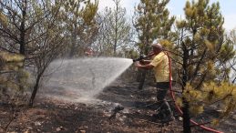 Amasya’da Orman Yangını: 20 Dönüm Arazi Zarar Gördü!