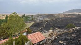 Anız Yangını Köye Sıçradı! 250 Dönüm Arazi ve 2 Ahır Kül Oldu